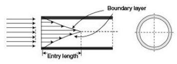 Blood flow and entry length Blood flow and entry length
